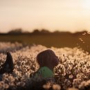 꽃에 반하다 이미지