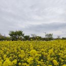 경화역 공원 1 Daum카페