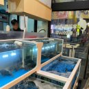 어촌시대 청천점 이미지