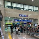 정래약국 | 엄마와 떠나는 울릉도 패키지 여행 2박3일 첫번째 이야기 | 관음도 , 봉래폭포등