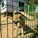 쥬닝카페 | [월간일기202406] 여름ol 오는 소zl,,,