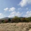 내곡동701 이미지