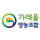 가래울영농조합 | 자연이 만든 선물 가래울 들기름&amp;생들기름으로 건강챙기기