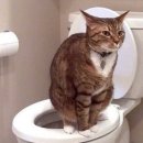 미래외과의원 이미지