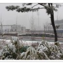 데굴데굴