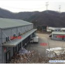 엠에스팜 이미지