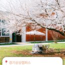 예술인기살리기<음악1> | 2026 만석거 새빛축제｜일정 교통 맛집 불꽃놀이 드론쇼 음악분수 주차까지