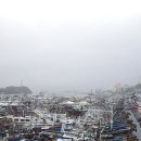 순천-16호 이미지