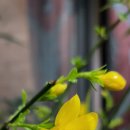 행주농장 이미지