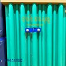 대명초교 이미지