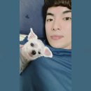 설이오빠 제주일상 : 오랜만에 남기는 기록