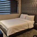 브라운도트 호텔 수영 이미지