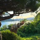 청풍하트레이크 이미지