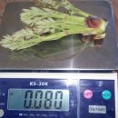 황토농장 이미지