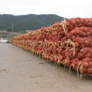 옥실경로당 이미지