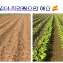 농어촌공사 | 정부24 농지대장 변경 후기｜농어촌공사 안 가고 개인 임대차로 처리
