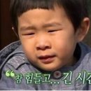 싱싱양계 - 북구 | 싱싱양계