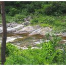 법수치통나무산장 이미지