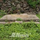 성읍1리사무소 이미지