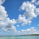 바다마중 | 제주금능숙소 푸르른 제주 바다와 감성이 가득한 제주마중펜션 후기