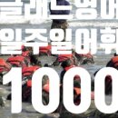 손샘영어교습소