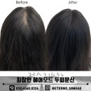 최창민헤어모드 이미지