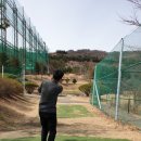 비젼힐 Daum카페