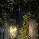 365노래주점