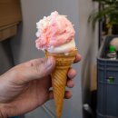 삼동주유소 | 골드CC 맛집 용인 생선구이 묵은지고등어찜 후기
