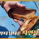 섭 이미지