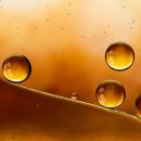 더추월풀빌라 이미지