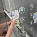 초이래쉬 | 아산 속눈썹 연장 잘하는 곳 브로우연 LED 더블 U래쉬 연장 후기