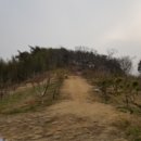 곡성-164 이미지