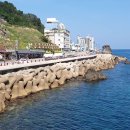 동해시-48 이미지