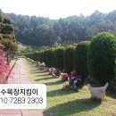 용인 수목장 자연장 *** 용인 로뎀파크 수목장 입니다 이미지