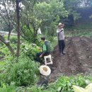 일희농장 이미지