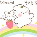 팡팡플라워 이미지