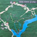 담양-04 Daum카페
