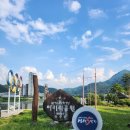 정선5일장 시장중앙사거리(시장2) | 정선아리랑시장 / 정선5일장 강원도 가볼만한 곳