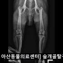 웅상동물병원 이미지