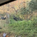 방목목장 이미지