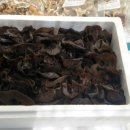 월출산 약초농산 이미지