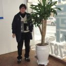 동암초등학교 이미지