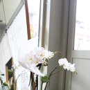 파크베르시
