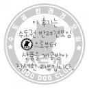 (주)이지메딕스 이미지