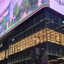 세종로 | [종로구 / 세종로] 광화문 카페 "오츠커피 광화문" 내돈내산 후기