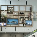 현풍 상리 공영기타1 | [대구 현풍 아이와 가볼만한곳] 주말 나들이 추천! 국립대구과학관 상설전시관 방문기