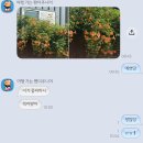 가람다방 - 용인시 수지구 풍덕천로172번길 3-15 | 나는 파란색이 좋아
