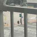 미화상회 이미지