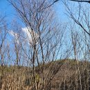 느티농원 이미지